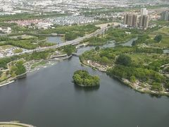 -嘉定凯悦·咖啡厅