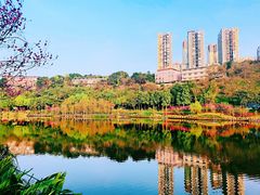 -重庆彩云湖湿地公园