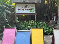 -大象粑粑造纸公园