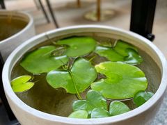 -PAUL LAFAYET 法式甜品(港汇广场店)