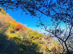-香山公园