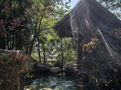 -七彩云南古滇温泉山庄