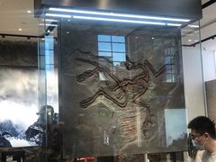 -ARC'TERYX始祖鸟(奕欧莱奥特莱斯店)