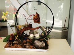 -郑州植物园