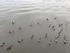 -深圳湾公园(南山区)