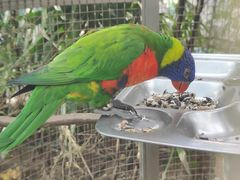 -大连森林动物园