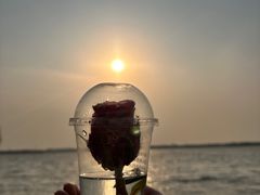 -丁香湖公园
