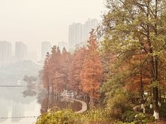 -重庆彩云湖湿地公园