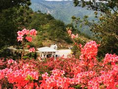 -木兰云雾山