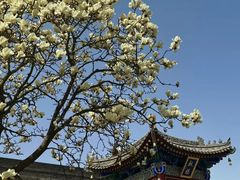 -西安市广仁寺