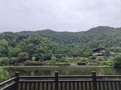 -桃花岭景区
