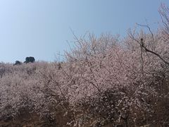 -北京西山国家森林公园