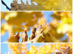 -故宫博物院(故宫)