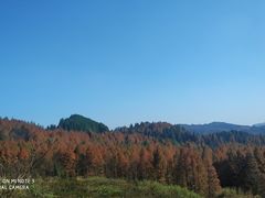 -山王坪喀斯特国家生态公园