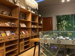 -了不起的考拉咖啡店(高新店)