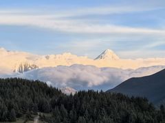 -小志家.野生菌鲜切牦牛肉牛杂火锅