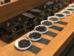 -去茶山