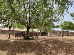 -石家庄市动物园