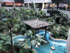 -黑龙江中医药大学附属第一医院