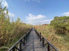 -沙家浜风景区