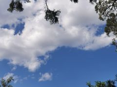 -阳台山自然风景区