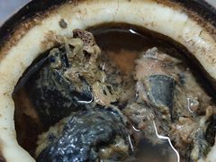 原只椰子炖竹丝鸡-達揚原味燉品(文明路店)