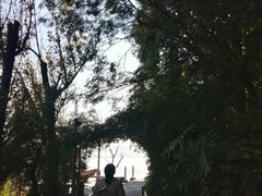 -南诏风情岛