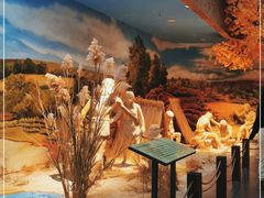 -巴音郭楞蒙古自治州博物馆