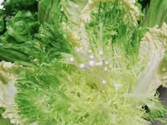 -红鼎豆捞·非遗鲍皇汤火锅(宝丰路店)