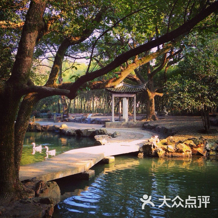 兰亭风景区鹅池图片 - 第1张