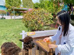 -芜湖新华联大白鲸海洋公园