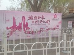 -桃花堤公园