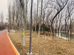 -大兴滨河森林公园