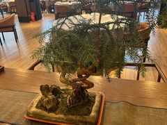 -三利音·浦之舟(滨江大道店)