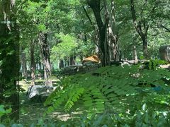 -秦皇岛野生动物园