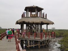 -北海金海湾红树林生态旅游区