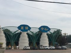 -西瓜小镇