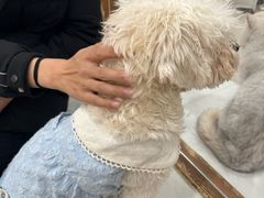-共舞时光猫咖·狗咖(新街口店)