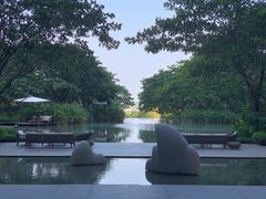 -瑰丽酒店·海吧·天际下午茶·现场DJ·天台酒吧
