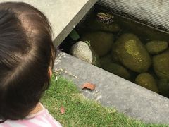 -二荆条·蜀鲜汇城市森林火锅