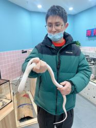 -Moni星球萌宠·小马宝莉·灵蛇·高端高阶全萌宠互动体验俱乐部(红豆国际广场店)