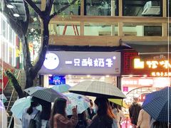 -一只酸奶牛(八一路店)