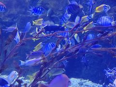 -太平洋海底世界