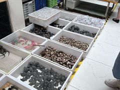 -青石桥花鸟鱼虫市场(叠翠城店)