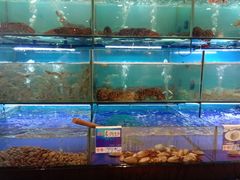 水产区-南海渔家•海鲜•正宗海南菜(海棠湾店)