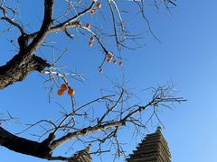 -北京石刻艺术博物馆(五塔寺)