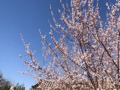 -三里河公园