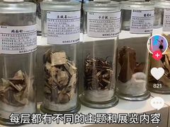 -广东中医药博物馆