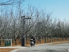 -东郊湿地公园