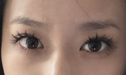 -七岛美学